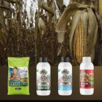 ۲۵ درصد افزایش تناژ