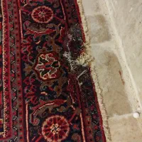 فرش دستباف ۶ متری- نیاز به تعمیر دارد|فرش|تهران, ولنجک|دیوار