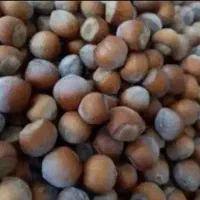 فندق وشنوه کاملا ارگانیک