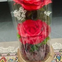باکس گل