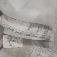 ۱۱ کیسه گچ