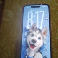 اپل 16پرومکس 256zaa