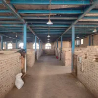 پانسیون اسب و باشگاه سوار کاری