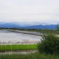زمین زراعی.مکانیزه شده