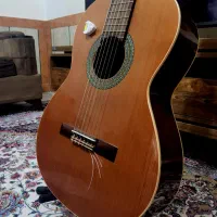 ALMANSA 402 CEDRO|گیتار، بیس، امپلیفایر|تهران, مشیریه|دیوار