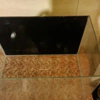 آکواریوم شیشه خم