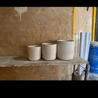 گلدان|گل و گیاه طبیعی|اسلام‌‌آباد غرب, |دیوار