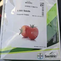 ((نشا))|گل و گیاه طبیعی|تبریز, |دیوار