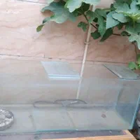 آکوارییوم بزرگ