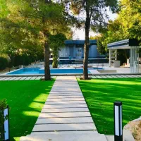نمایندگی پخش چمن مصنوعی|گل مصنوعی|مرودشت, ژیان|دیوار