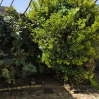 فروش زمین تجاری با موقعیت بسیار خوب