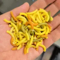 ماکارونی فرمی فله در هفت مدل|خوردنی و آشامیدنی|تهران, ترمینال جنوب|دیوار