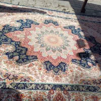 ازفروشگاه معتبرفرش دیدن فرمایید|فرش|زاهدان, |دیوار