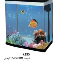 انواع آکواریوم شرکتی دلسا به قیمت کارخانه|ماهی|مشهد, بهاران|دیوار