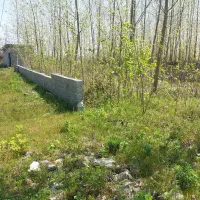 سوخته-کوه-زمین-مسکونی-با-پروانه