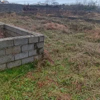 زمین باغی داخل شهر قابل ساخت منطقه ویلا سازی|فروش زمین و ملک کلنگی|رضوانشهر, |دیوار