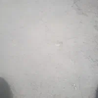 خط رند