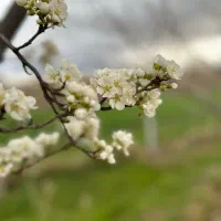 تدریس خصوصی پایه اول