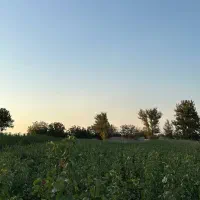 باغچه کاسبی /۱/۲۵۰میلیارد/قابل ساخت/شبنم احمدی|فروش زمین و ملک کلنگی|شهریار, رامین|دیوار
