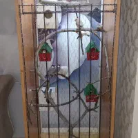 قفس بزرگ با پرنده