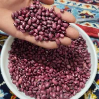 لوبیا قرمز درجه 1|خوردنی و آشامیدنی|روانسر, |دیوار