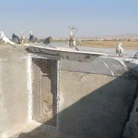 گمشده تار شده