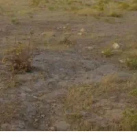 زمین. 200متری