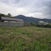 فروش زمین های داخل طرح باغی به متراژ های مختلف