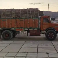 خرید درخت گردو چوب|خدمات باغبانی و درختکاری|یاسوج, |دیوار