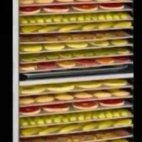 دستگاه میوه خشک کن صنعتی|سایر لوازم برقی|پلدختر, |دیوار