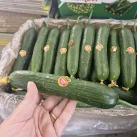 بسته بندی صیفی‌جات