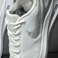 کفشهای اورجینال|کیف، کفش، کمربند|خوی, |دیوار