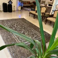 پشتی های دستباف ساروق