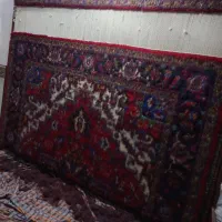 قالی ۹ متری دستباف|فرش|قم, انسجام|دیوار