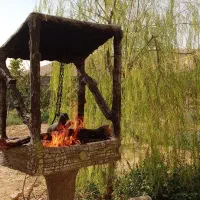 اجاره باغ ویلا امیر خان اجاره روزانه ،استخر روباز