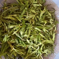 شنگ و قزیاغی صحرا (تره) قیمت مناسب