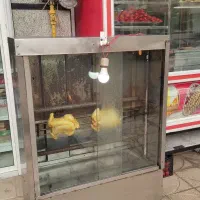 جوجه گردان|اجاق گاز و لوازم برقی پخت‌وپز|اقبالیه, |دیوار