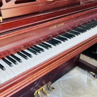 پیاو آکوستیک|پیانو، کیبورد، آکاردئون|کرج, مجتمع صنفی صنعتی|دیوار