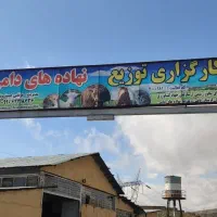 منشی خانم