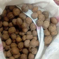 بادام وگردو امسال|خوردنی و آشامیدنی|انزل, |دیوار