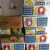 کارتون موز اسباب کشی