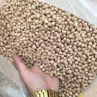 نخود بذری|عمدهفروشی|روانسر, |دیوار