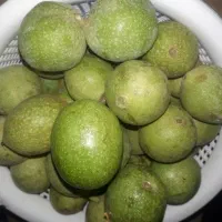 گردو تازه درجه یک