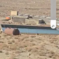 مرغداری