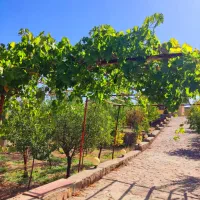 ویلا ۱۰۰۰ متر باغ ۸۵ م بنا قیمت زمینش وادان دماوند|فروش خانه و ویلا|دماوند, دماوند|دیوار