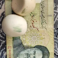 سنگ آسیاب معاوضه با تسبیح هم دارم