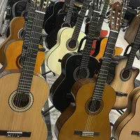 گیتار رنگبندی مختلف با گارنتی