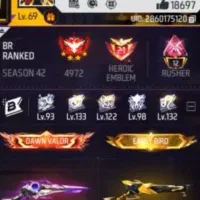 اکانت فری فایر لول ۶۹ پول لازمم میدم میدم ۴۵۰