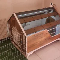 خانه پت|لوازم جانبی حیوانات|گرمدره, |دیوار