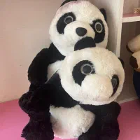 عروسک نو|اسباب‌بازی بچه|ساوه, |دیوار